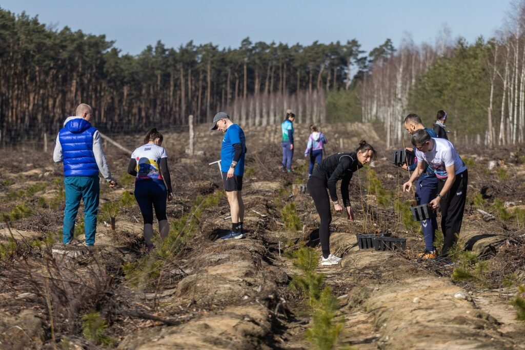 Akcja sadzenia drzew na toruńskiej Barbarce, fot. Szymon Zdziebło/tarantoga.pl dla UMWKP