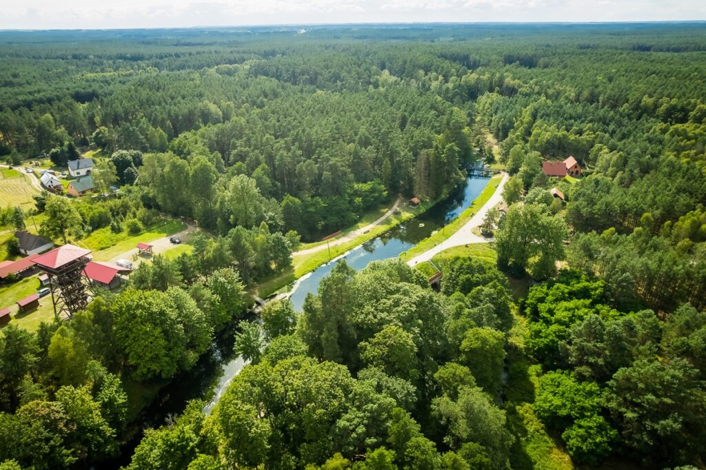 Tucholski Park Krajobrazowy Fojutowo, Fot. Tomasz Czachorowski eventphoto.com.pl dla UMWKP