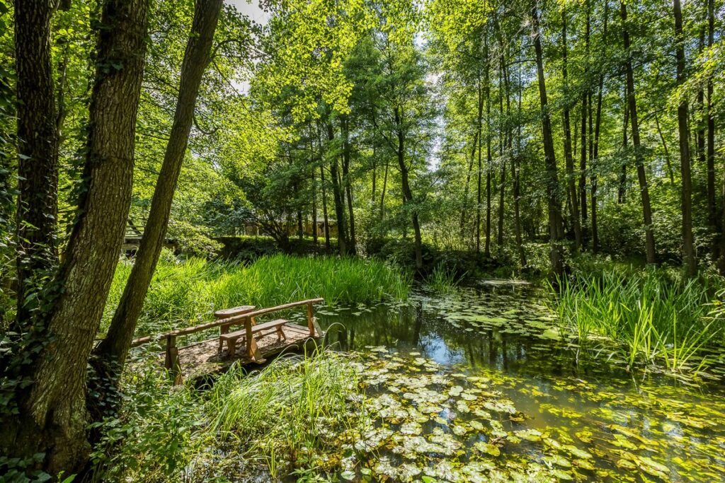Tucholski Park Krajobrazowy Młyn w Nadolniku, Fot. Tomasz Czachorowski eventphoto.com.pl dla UMWKP