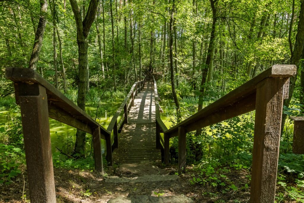 Tucholski Park Krajobrazowy - Ścieżka edukacyjna Wyspa Jelenia, Fot. Tomasz Czachorowski eventphoto.com.pl dla UMWKP