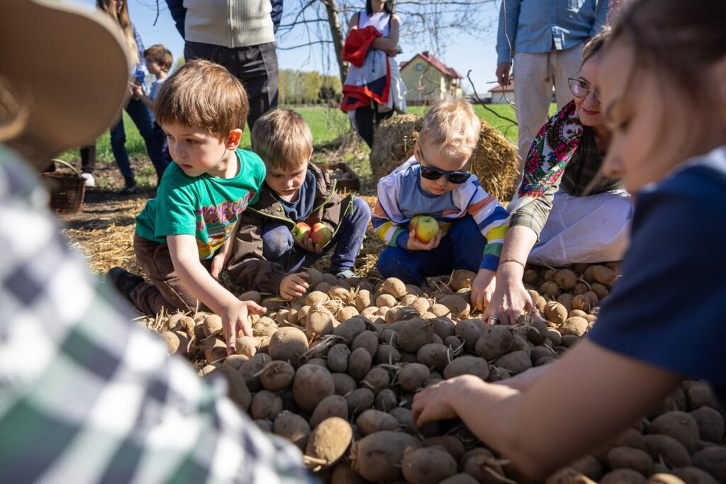Złotopole, pow. Lipnowski, Sadzenie ziemniaków u Antka i Maryny, Eskapada, fot. Szymon Zdziebło/tarantoga.pl dla UMWKP