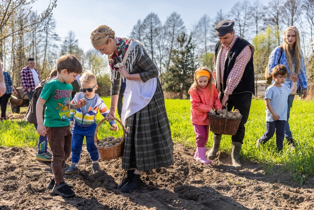Złotopole, pow. Lipnowski, Sadzenie ziemniaków u Antka i Maryny, Eskapada, fot. Szymon Zdziebło/tarantoga.pl dla UMWKP