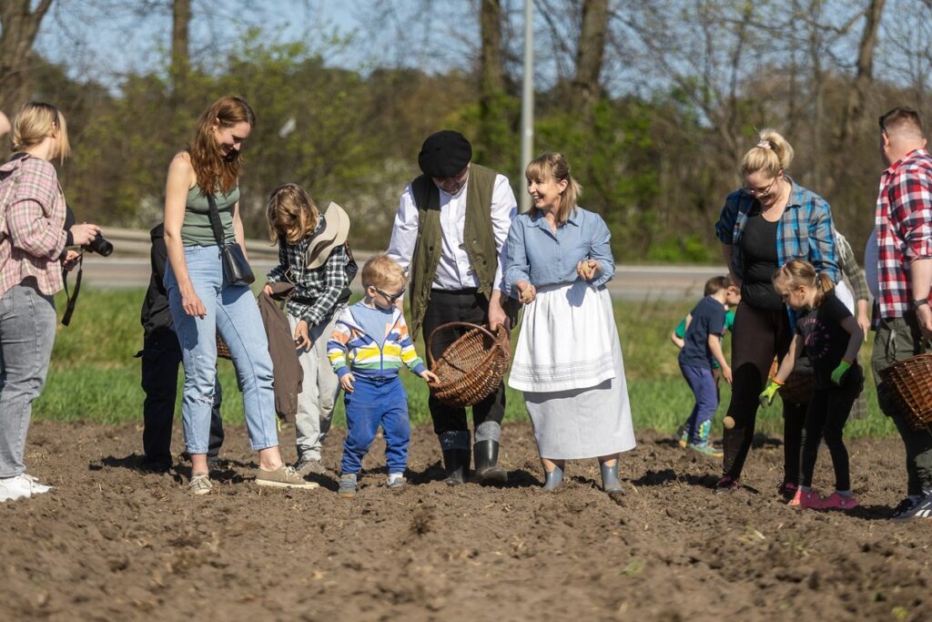 Złotopole, pow. Lipnowski, Sadzenie ziemniaków u Antka i Maryny, Eskapada, fot. Szymon Zdziebło/tarantoga.pl dla UMWKP