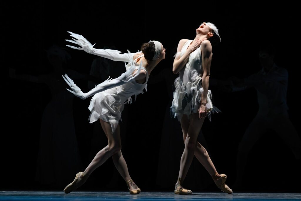 LAC, fot. Alica Blangero