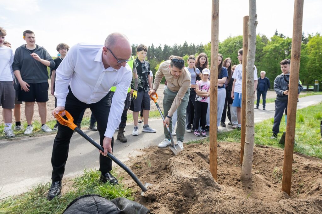 New plantings along regional road no. 551 in Raciniewo, photo by Tomasz Czachorowski/eventphoto for UMWKP