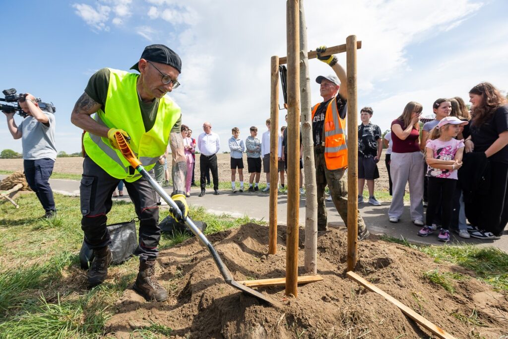 New plantings along regional road no. 551 in Raciniewo, photo by Tomasz Czachorowski/eventphoto for UMWKP