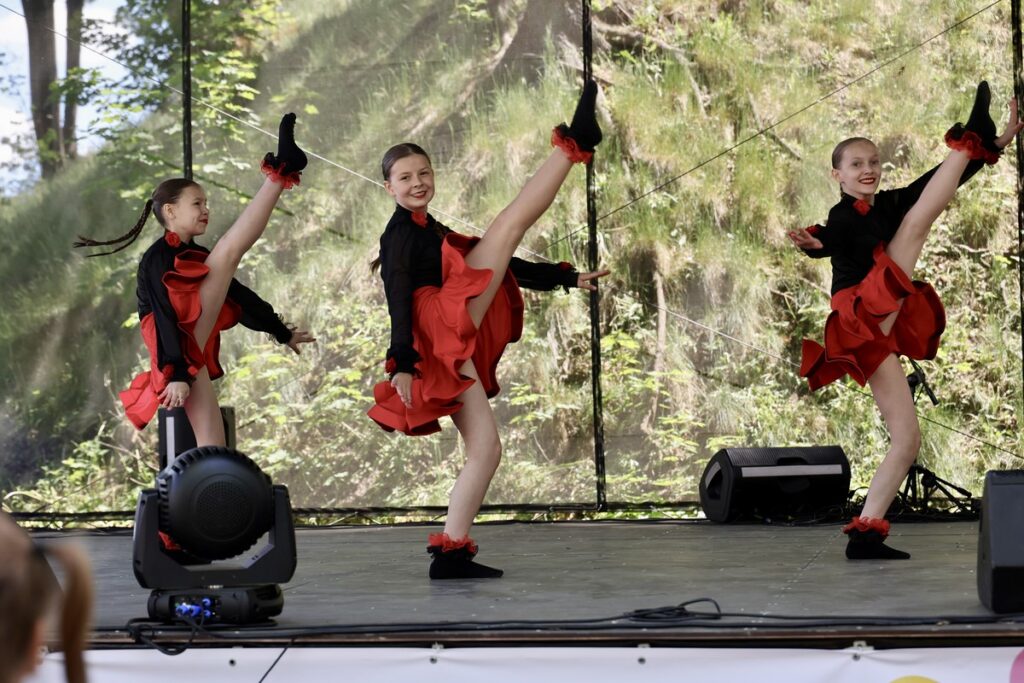 II Europejski Festiwal Młodych Twórców, fot. Andrzej Goiński/UMWKP