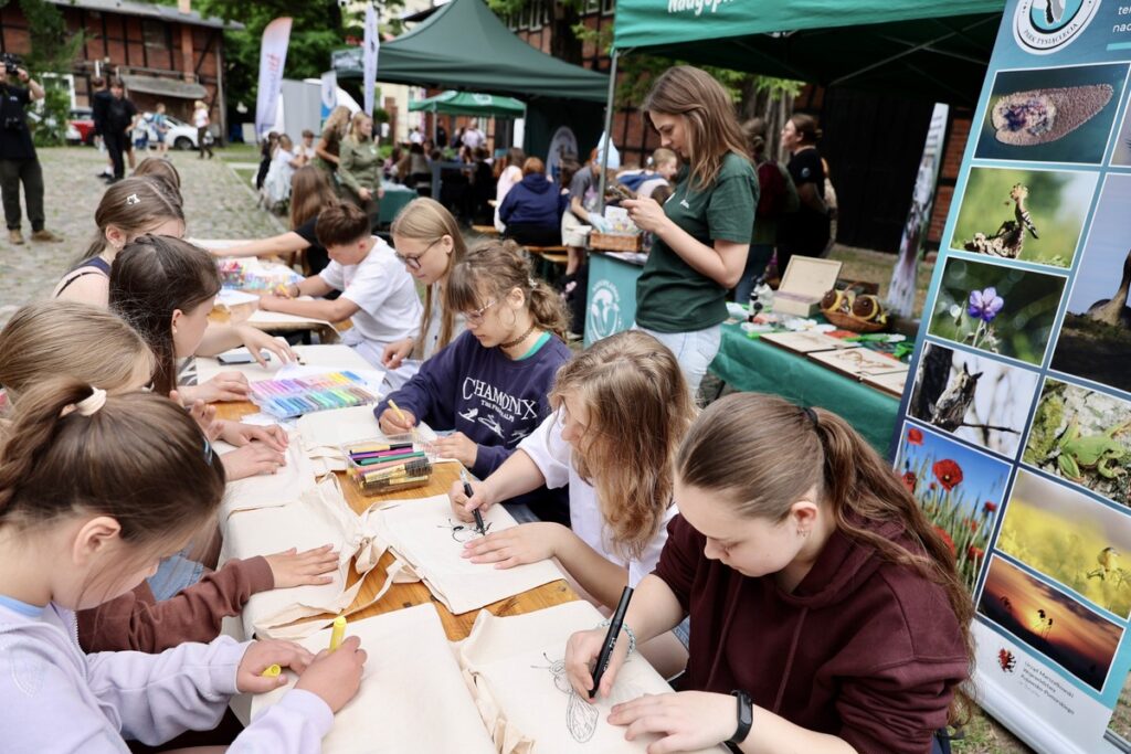 Great Day of Little Pollinators. Photo: Andrzej Goiński / UMWKP