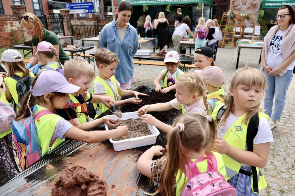 Great Day of Little Pollinators. Photo: Andrzej Goiński / UMWKP