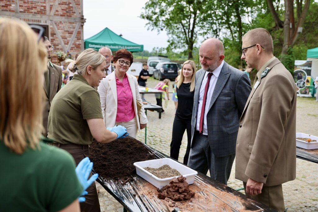 Great Day of Little Pollinators. Photo: Andrzej Goiński / UMWKP