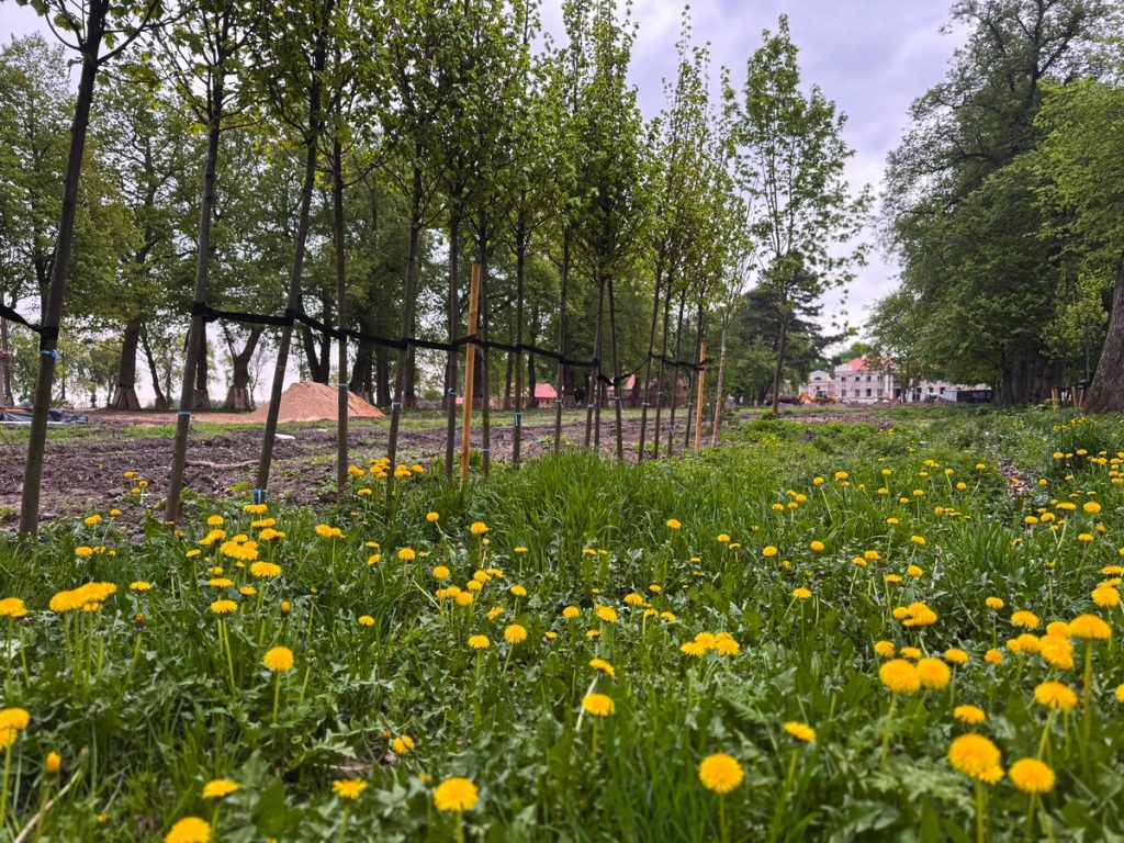 Rewitalizacja zespołu pałacowego w Nawrze, fot. KPCD