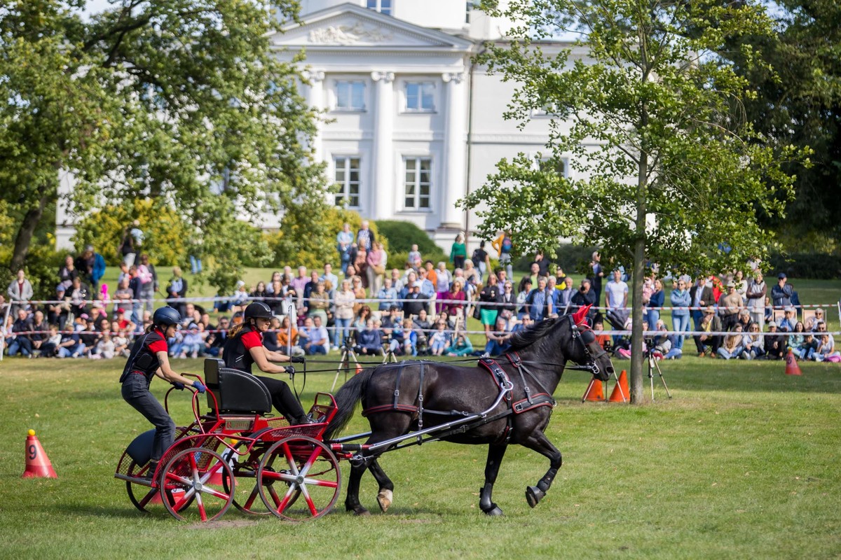 Konkurs „Powożenia” w 2025 r., fot. Pałac Lubostroń