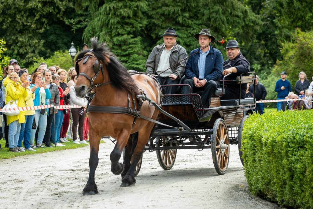 Horse-Drawn Carriage Competition in Lubostroń, photo: Tomasz Czachorowski/eventphoto.com.pl for UMWKP