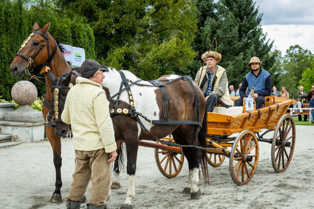 Horse-Drawn Carriage Competition in Lubostroń, photo: Tomasz Czachorowski/eventphoto.com.pl for UMWKP