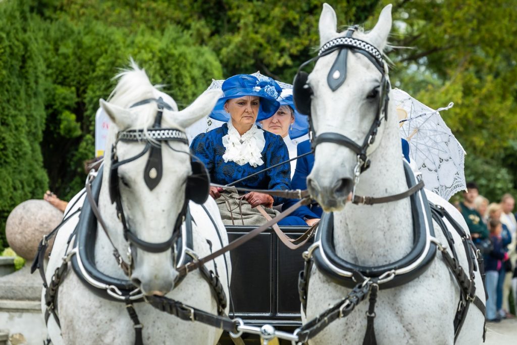 Horse-Drawn Carriage Competition in Lubostroń, photo: Tomasz Czachorowski/eventphoto.com.pl for UMWKP