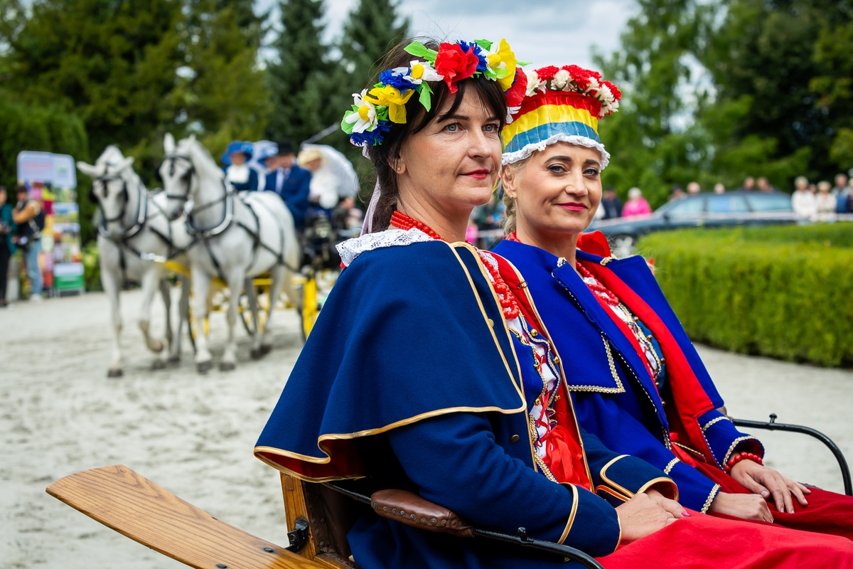 Konkurs Pojazdów Konnych w Lubostroniu, fot. Tomasz Czachorowski/eventphoto.com.pl dla UMWKP