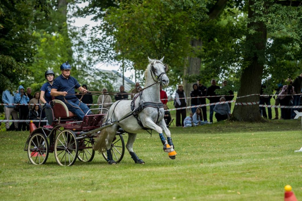 Horse-Drawn Carriage Competition in Lubostroń, photo: Wojciech Zdunek for Lubostroń Palace