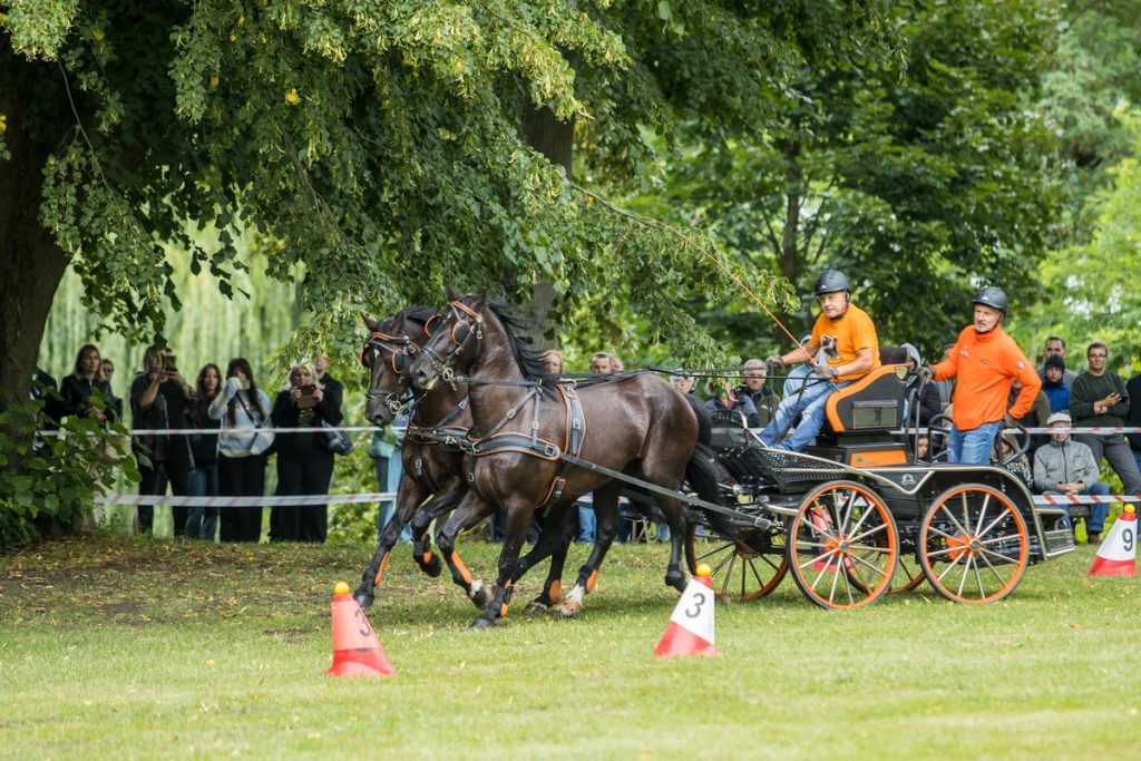Horse-Drawn Carriage Competition in Lubostroń, photo: Wojciech Zdunek for Lubostroń Palace