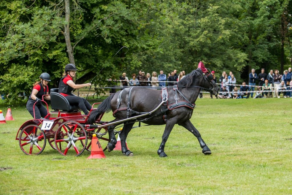 Horse-Drawn Carriage Competition in Lubostroń, photo: Wojciech Zdunek for Lubostroń Palace