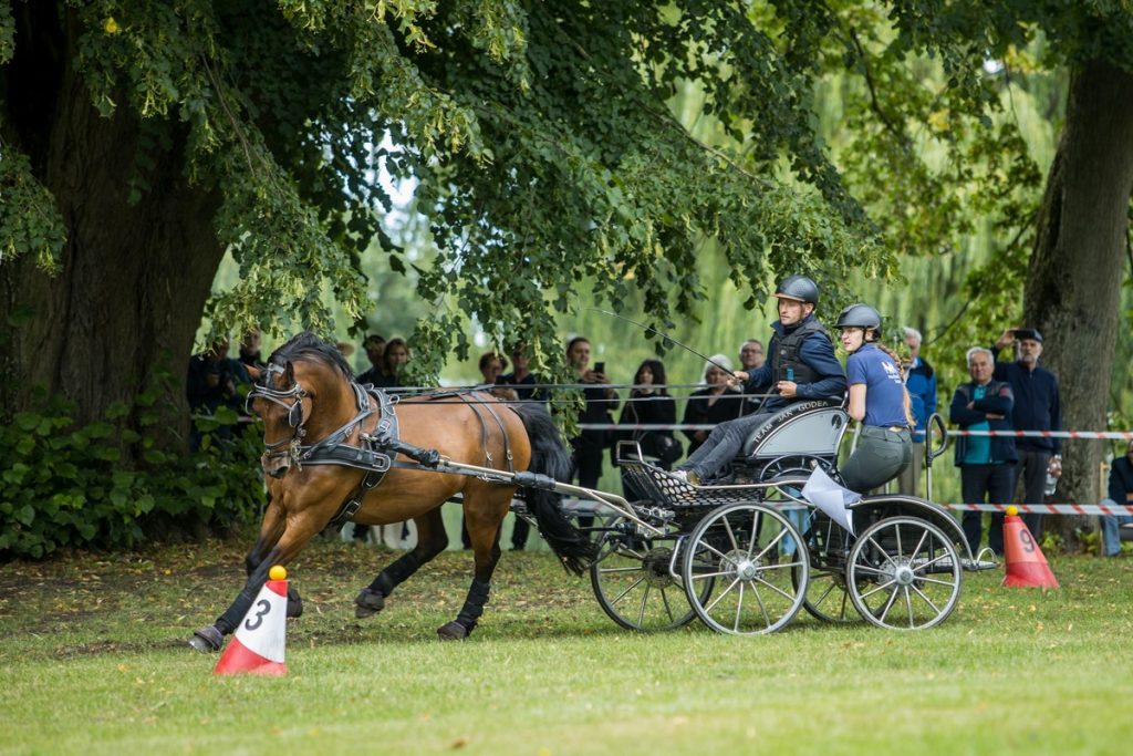 Horse-Drawn Carriage Competition in Lubostroń, photo: Wojciech Zdunek for Lubostroń Palace