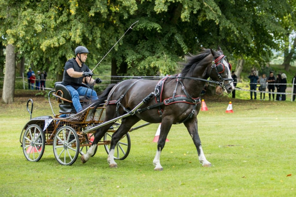 Horse-Drawn Carriage Competition in Lubostroń, photo: Wojciech Zdunek for Lubostroń Palace