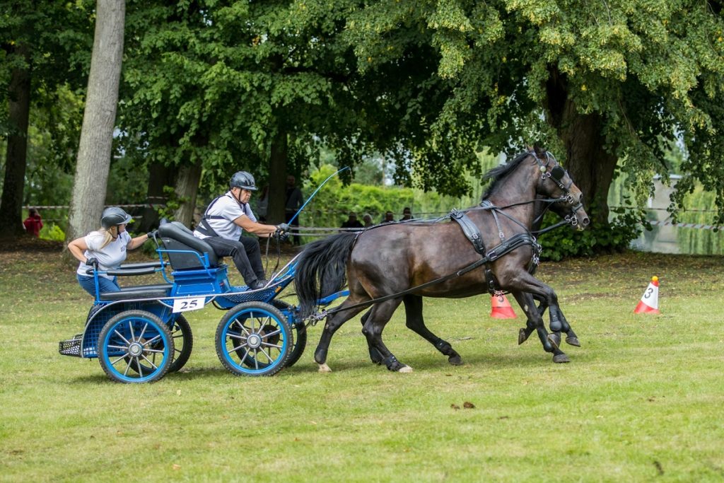 Horse-Drawn Carriage Competition in Lubostroń, photo: Wojciech Zdunek for Lubostroń Palace