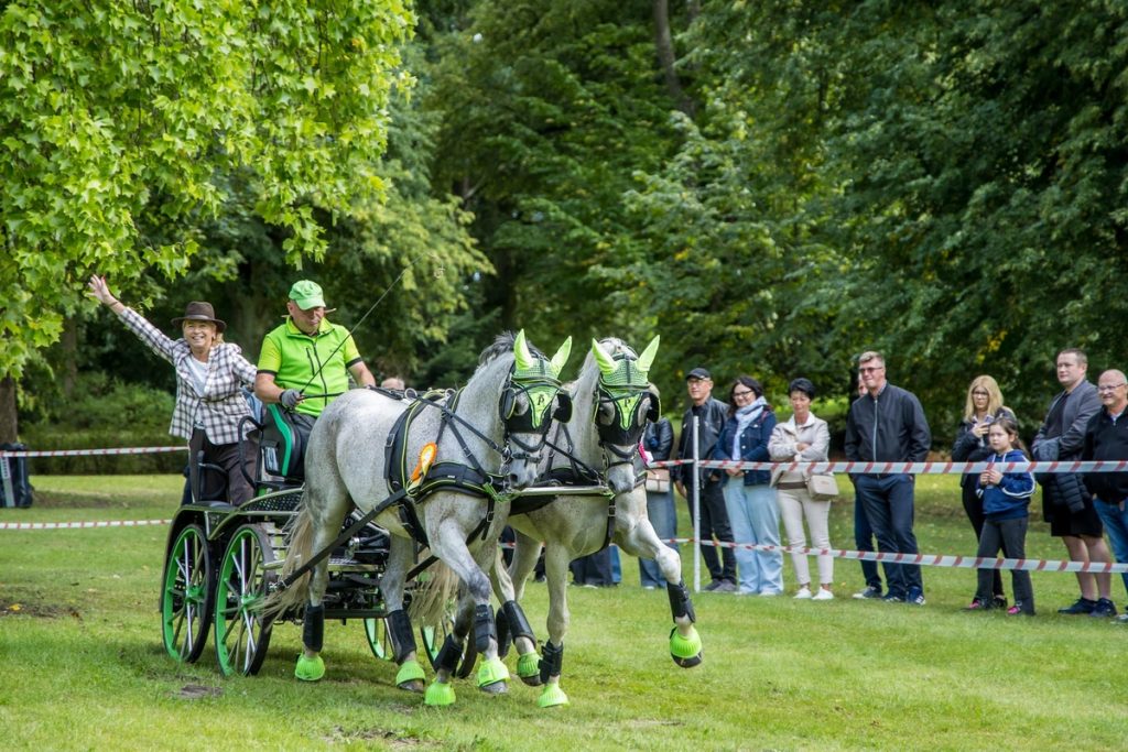 Horse-Drawn Carriage Competition in Lubostroń, photo: Wojciech Zdunek for Lubostroń Palace