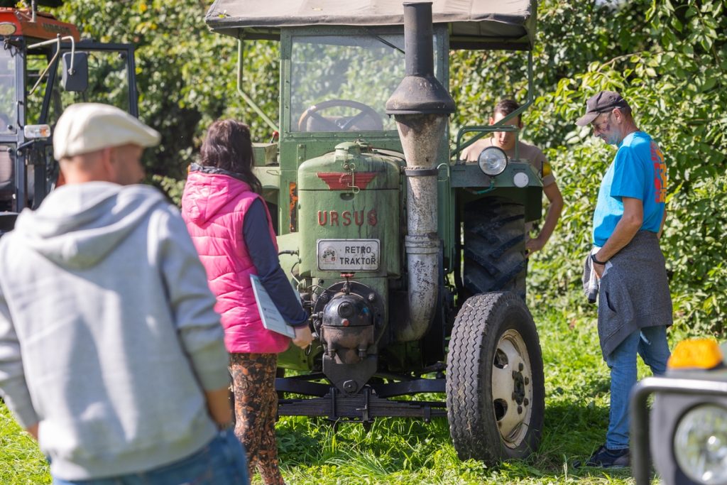 Piknik w Borównie, fot. Mikołaj Kuras dla UMWKP