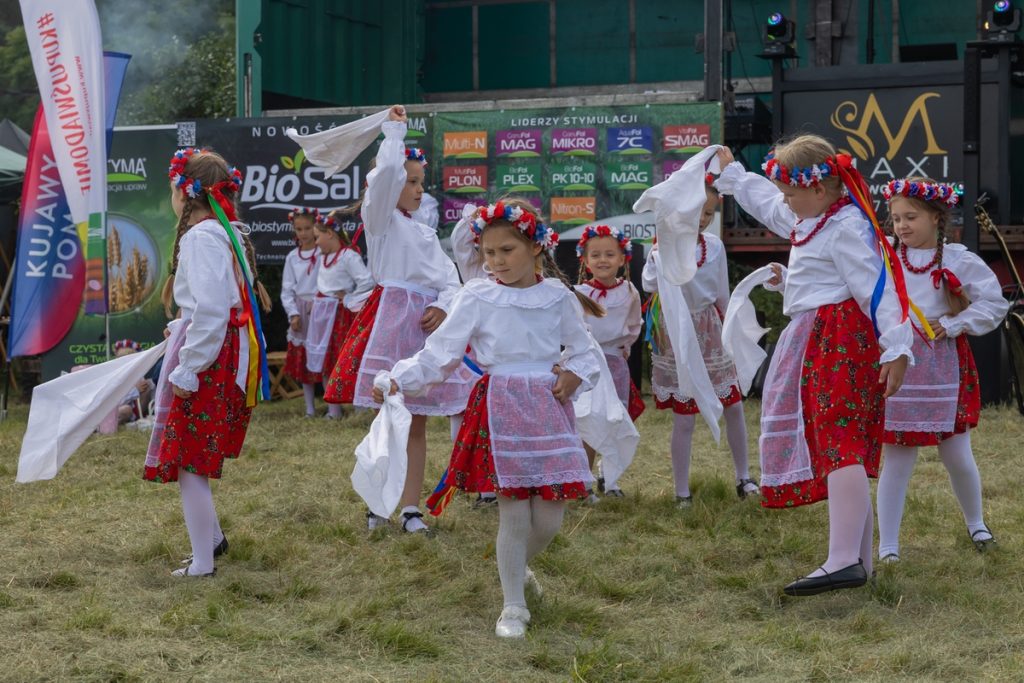 Piknik w Borównie, fot. Mikołaj Kuras dla UMWKP