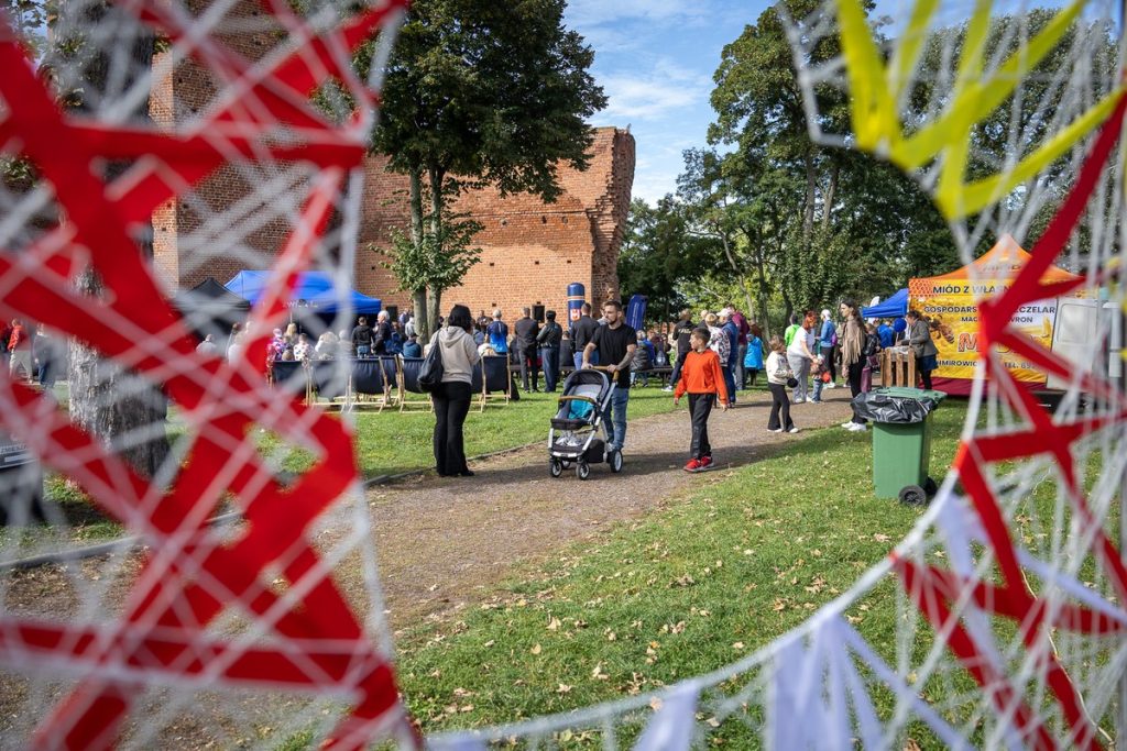 Piknik pod Kujawskim Niebem w Kruszwicy, fot. Szymon Zdziebło/tarantoga.pl dla UMWKP
