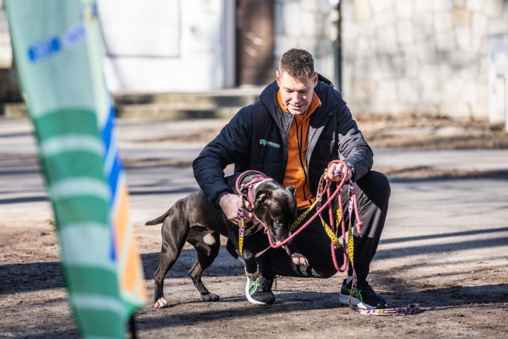 „Walk the dog - HMŚ Kujawy Pomorze 2026, fot. Andrzej Goiński/UMWKP