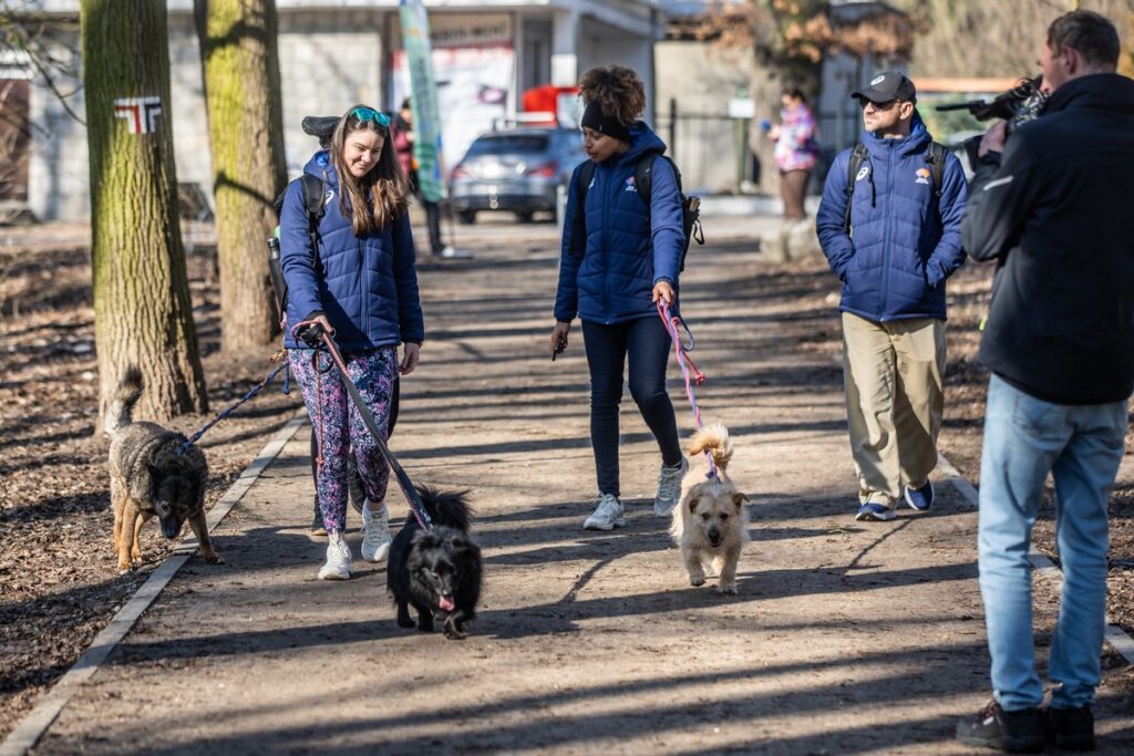 „Walk the dog - HMŚ Kujawy Pomorze 2026, fot. Andrzej Goiński/UMWKP