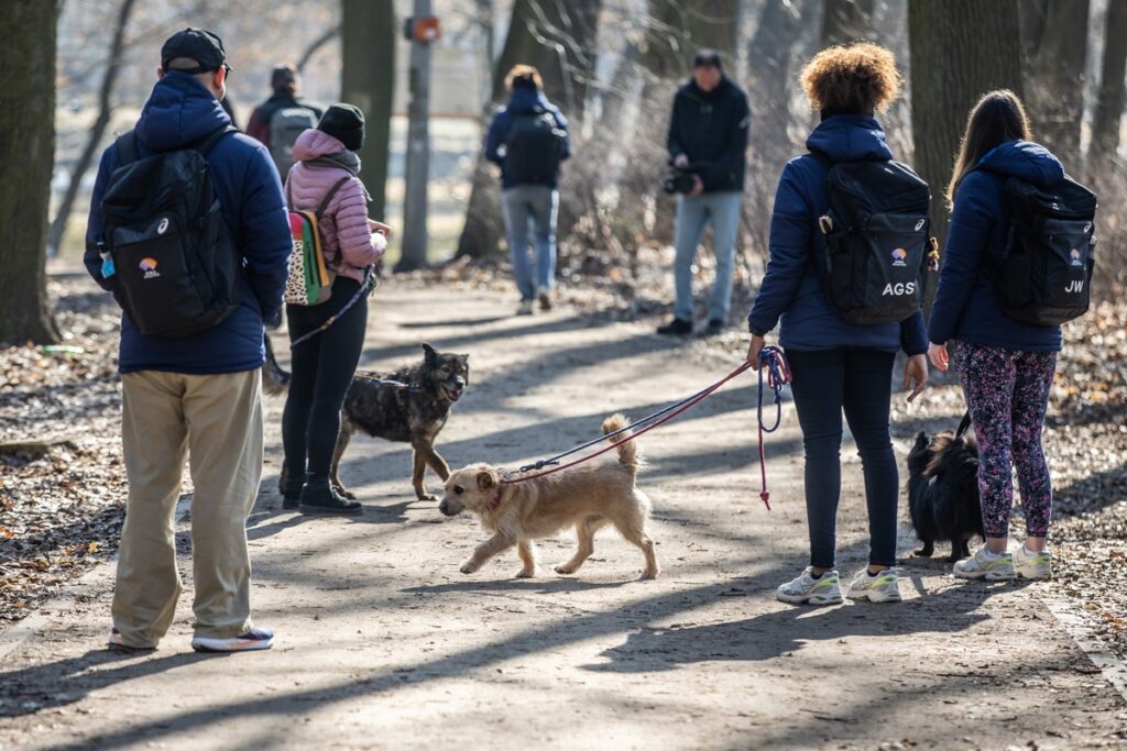 „Walk the dog - HMŚ Kujawy Pomorze 2026, fot. Andrzej Goiński/UMWKP