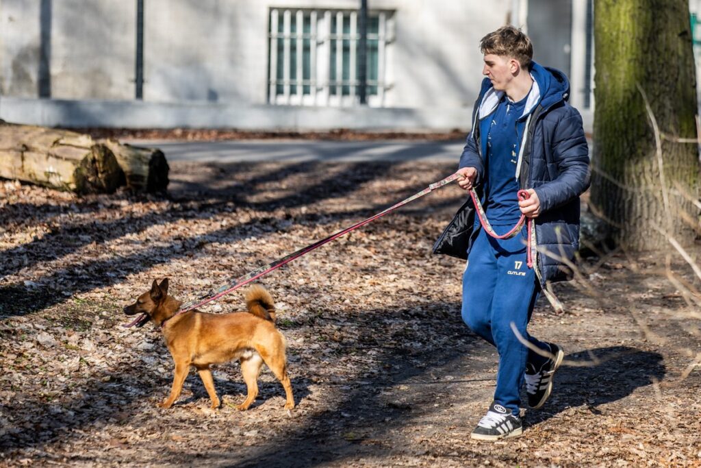 „Walk the dog - HMŚ Kujawy Pomorze 2026, fot. Andrzej Goiński/UMWKP