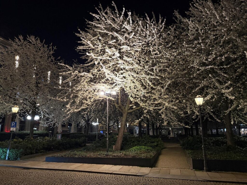 Międzynarodowy Tydzień Ciemnego Nieba fot. R. Modrzewski