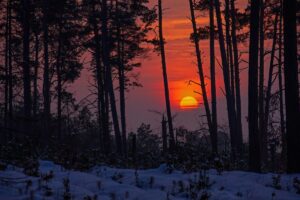 Sunset in the Tuchola Forest, photo by Piotr Szumigaj