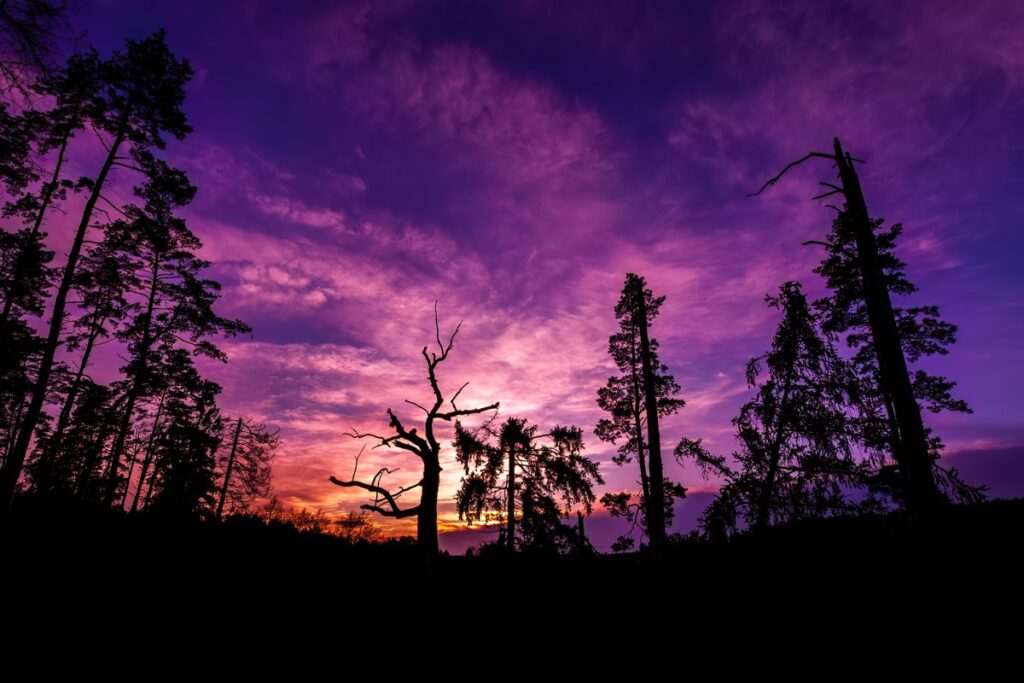 Wschód słońca w Starej Rzeczce, fot. Piotr Szumigaj