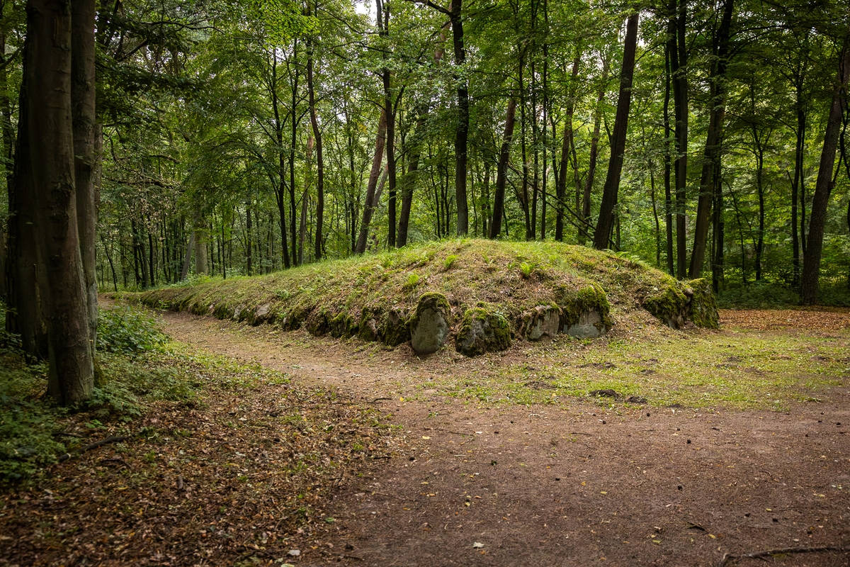 Grobowce megalityczne w Wietrzychowicach, fot. Szymon Zdziebło/tarantoga.pl dla UMWKP