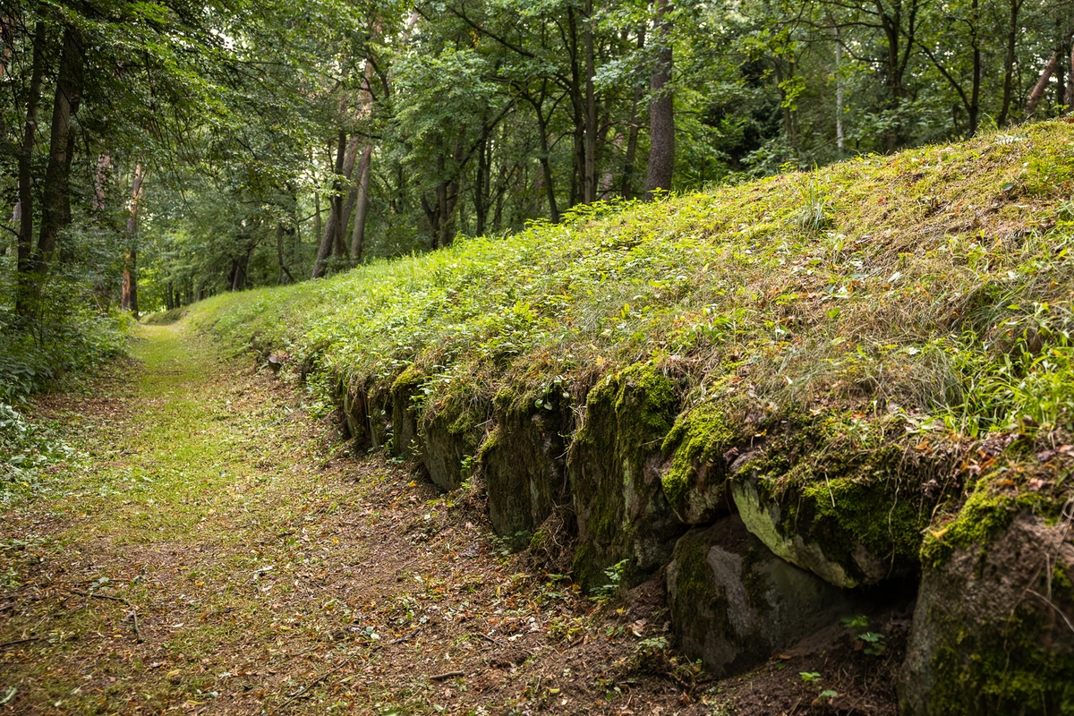 Grobowce megalityczne w Wietrzychowicach, fot. Szymon Zdziebło/tarantoga.pl dla UMWKP