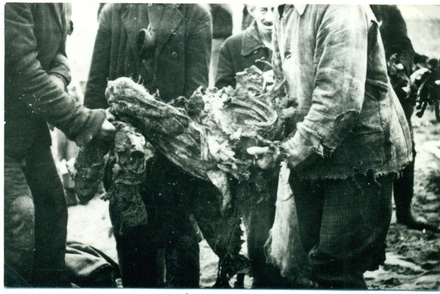 Wydobywanie zwłok, Paterek 1945, Muzeum Ziemi Krajeńskiej w Nakle nad Notecią 
