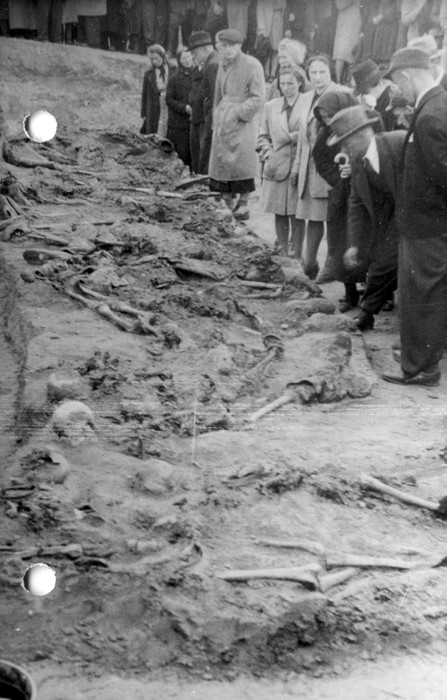 Ekshumacje w Wysokiej, 1946 r. IPN