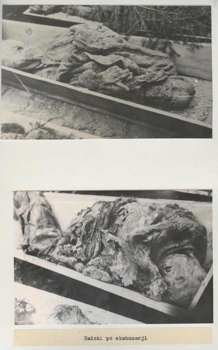 Ekshumacje w Barbarce, 1946, IPN