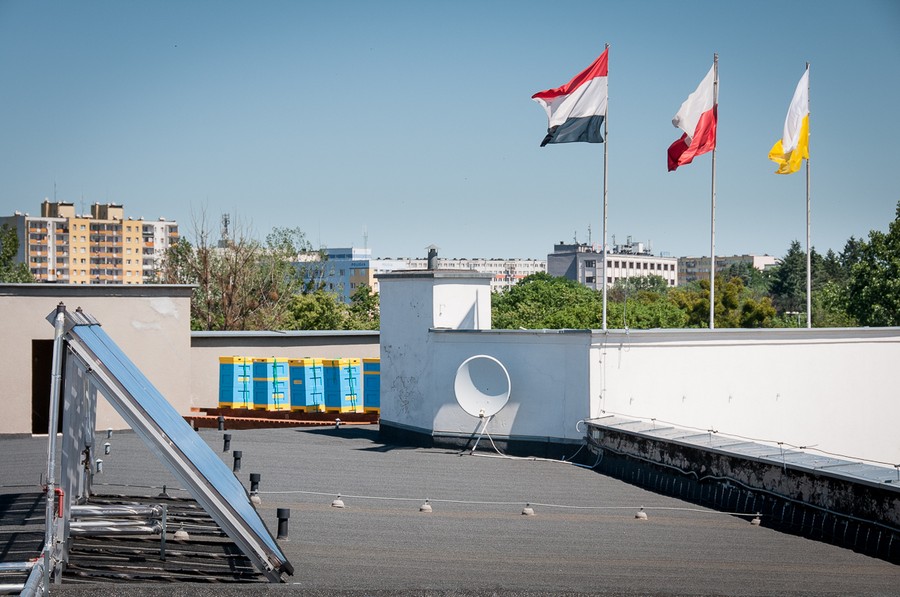 Pasieka na dachu Urzędu Marszałkowskiego, fot. Jacek Piotrowski