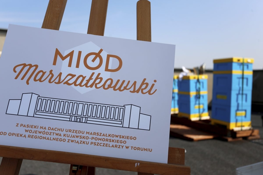 Miodobranie na dachu Urzędu Marszałkowskiego w Toruniu, fot. Mikołaj Kuras